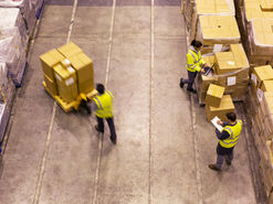 Business Service Facts - Vital Change Insights