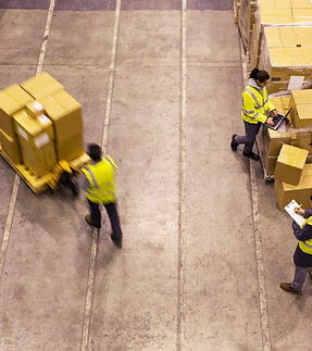Warehouse Workers Sorting