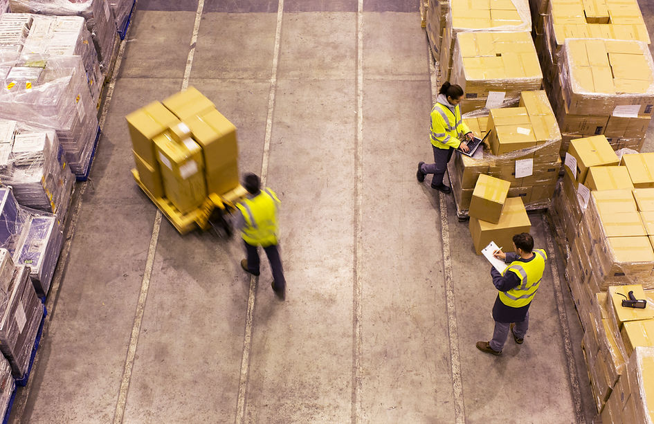 Warehouse Workers Sorting