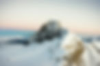 Snowy Mountain_edited_edited_edited.jpg