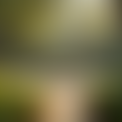 Embrace Transformation: My Journey to Creating a Heartfelt Healing Circle