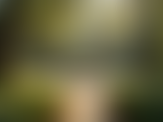 Embrace Transformation: My Journey to Creating a Heartfelt Healing Circle