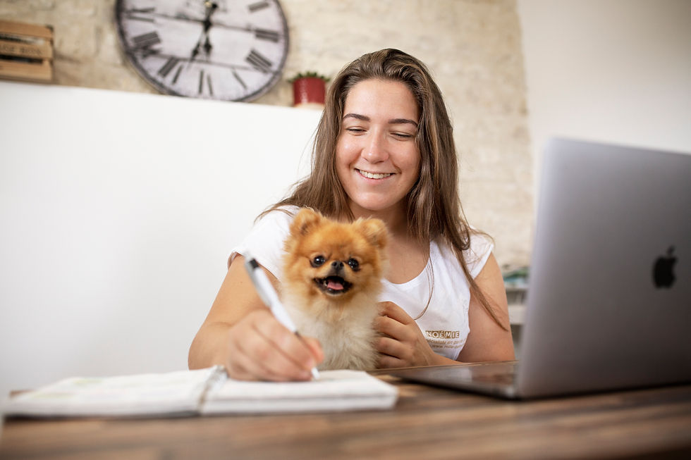 Pension canine et NAC