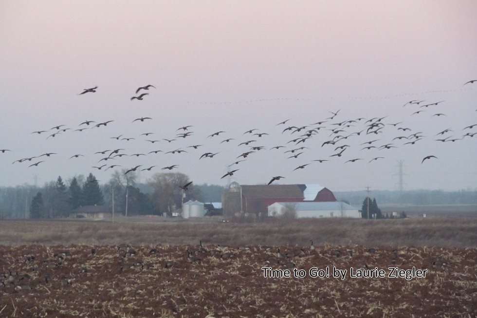 Village of Fredonia Wisconsin Area photos