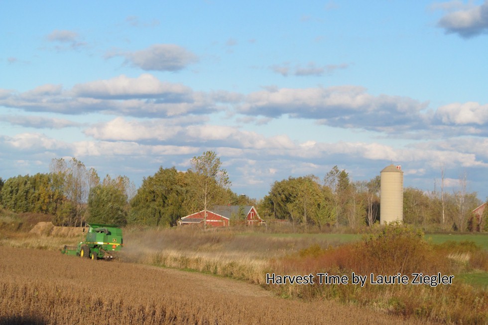 Village of Fredonia Wisconsin Area photos