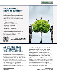 OVERVIEW - Prosperity Plus (1).png