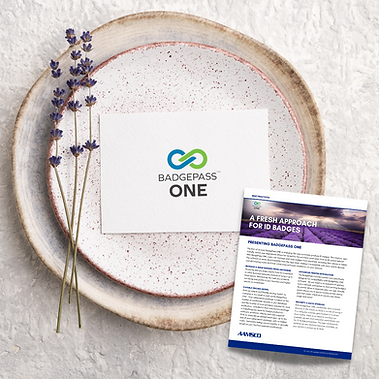 AAMSCO Website Sections (1).png