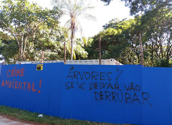 Sobre homens e árvores