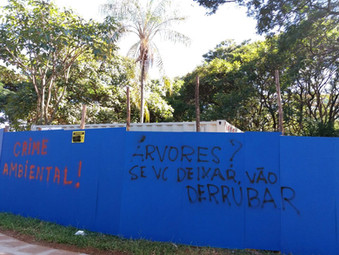 Sobre homens e árvores