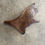 Miniatura: Moose Antler Shed $60