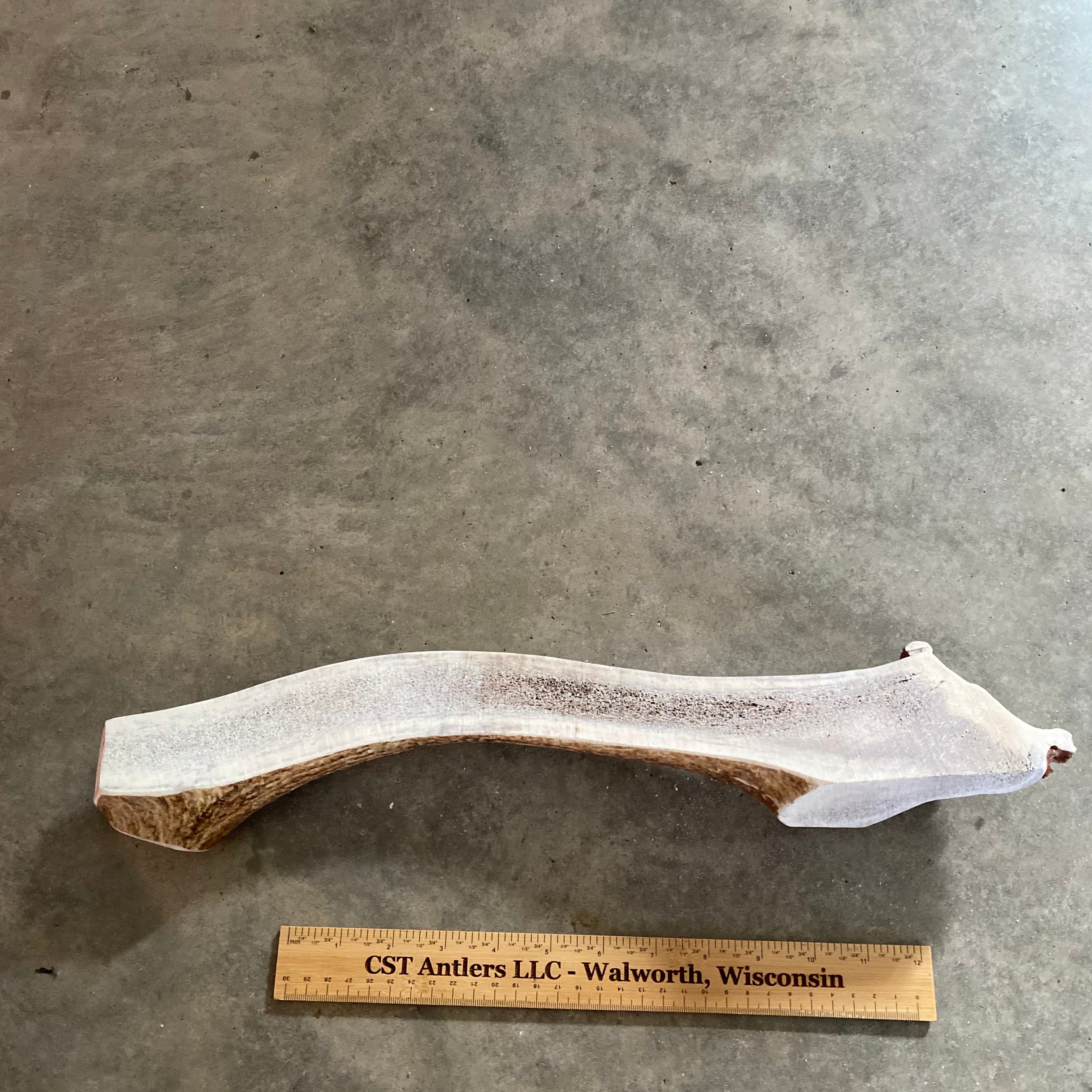 Long Split Elk Antler $80