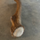 Miniatura: Long Whole Elk Antler $158