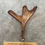 Miniatura: Moose Antler Shed $60