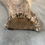 Miniatura: Long Split Elk Antler $70