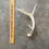 Miniatura: Deer Antler Shed $15