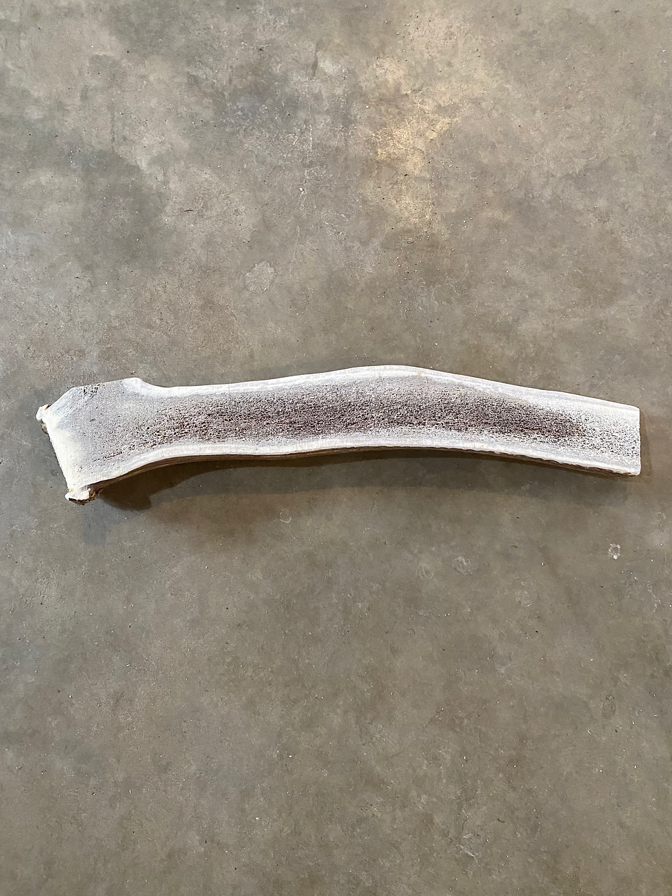 Thumbnail: Long Split Elk Antler $65