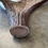 Miniatura: Moose Antler Shed $60