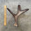 Miniatura: Moose Antler Shed $60