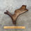 Miniatura: Moose Antler Shed $60