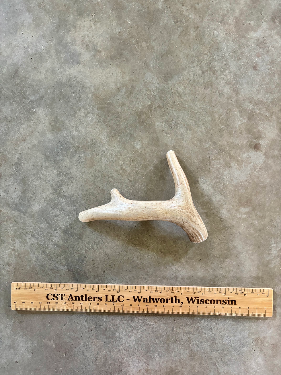 Miniatura: Medium Deer Antler