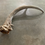 Miniatura: Deer Antler Shed $15