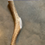 Miniatura: Long Whole Elk Antler $102