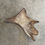 Miniatura: Moose Antler Shed $60
