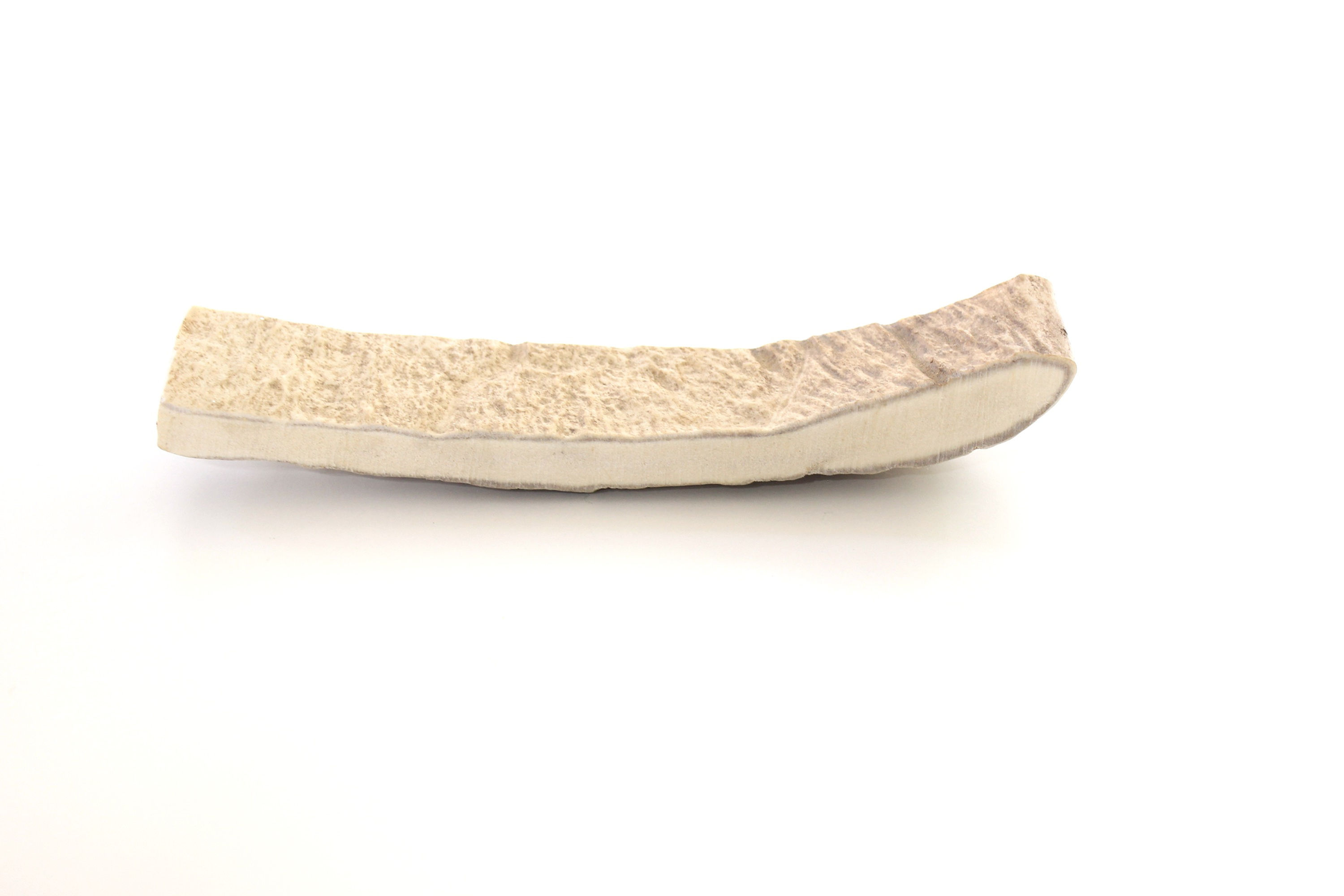 Large Moose Antler (Flat)