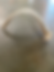 Thumbnail: Deer Antler Shed $15