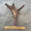 Miniatura: Moose Antler Shed $60