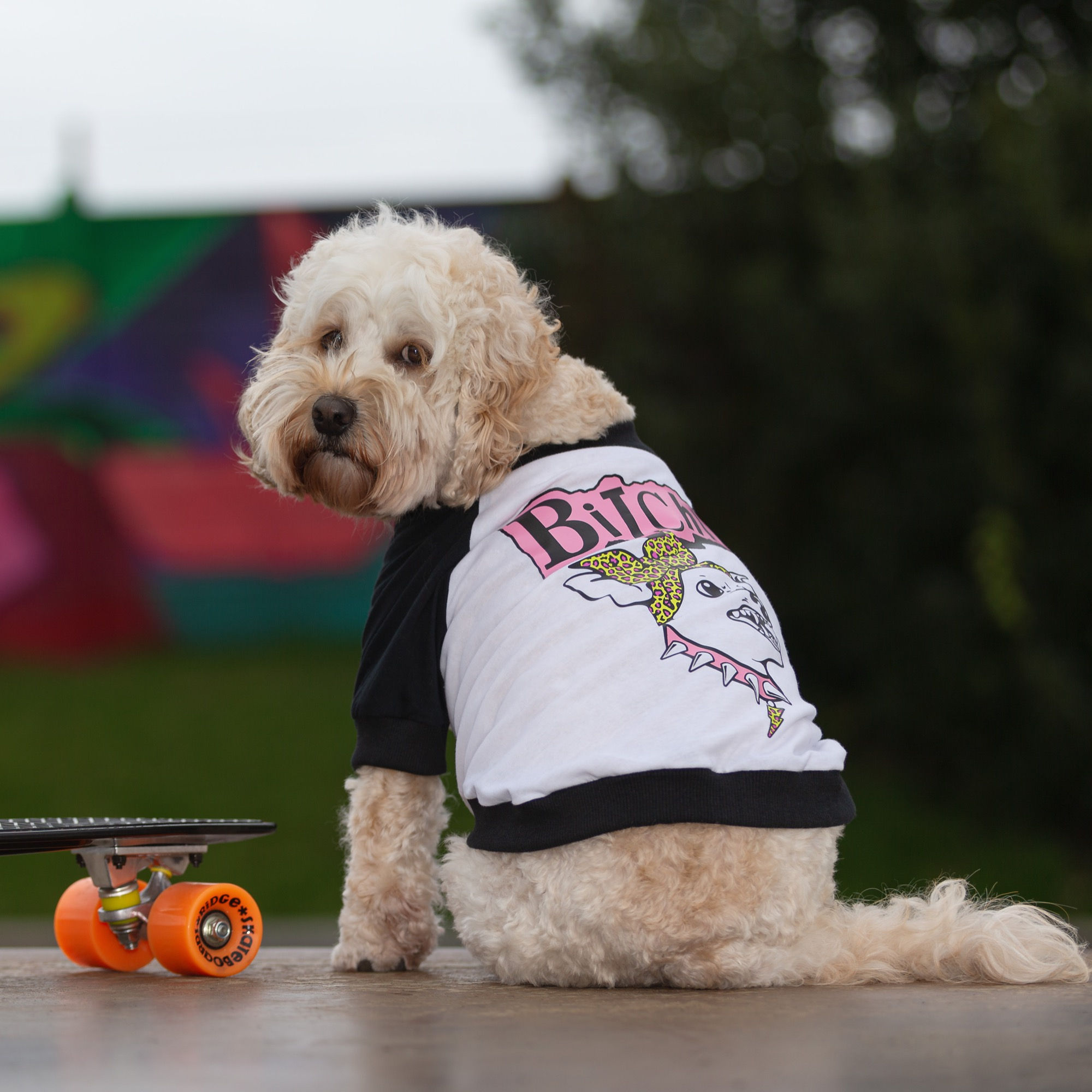 PINK BiTchIE CHIHUAHUA RAGLAN DOG T-SHIRT