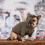 Thumbnail: KHAKI OLD SKOOL DOG HOODIE