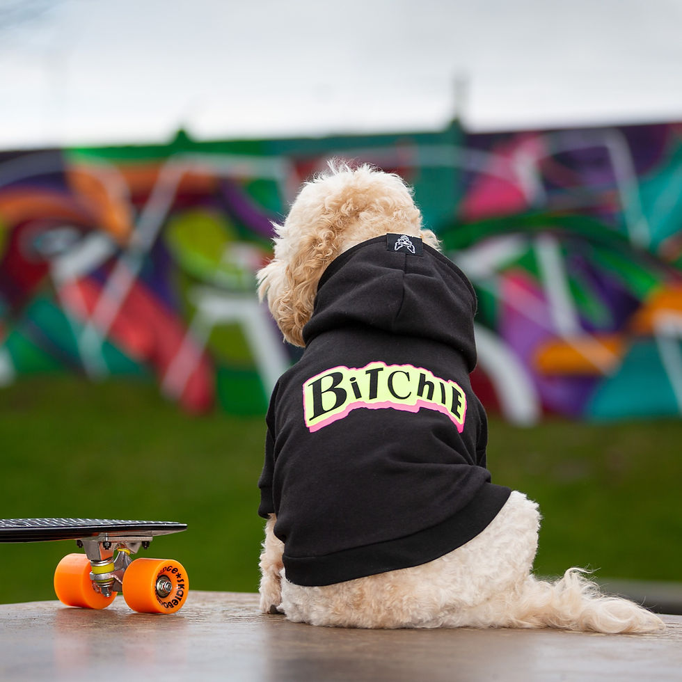 Dog Clothes Designer Dog Clothing Rock Dog Ltd London UK