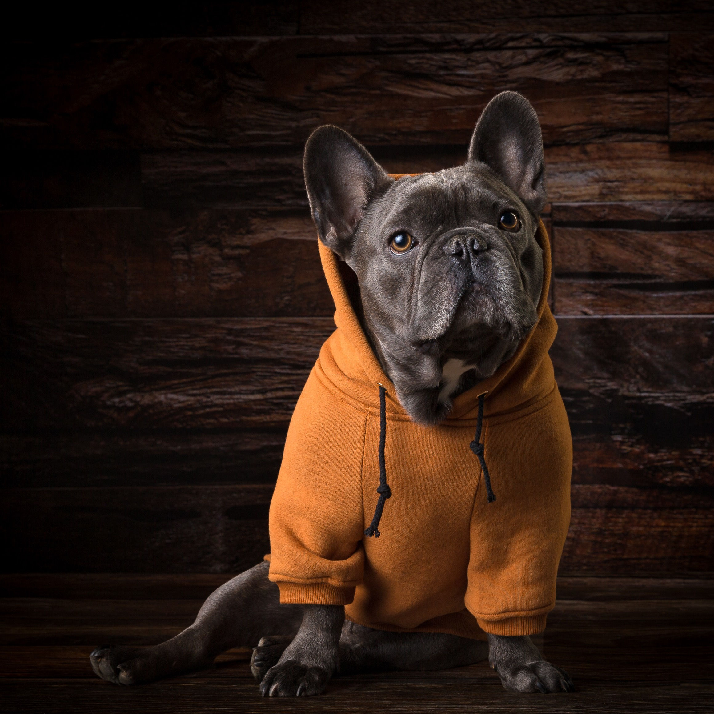 NOMAD DOG HOODIE
