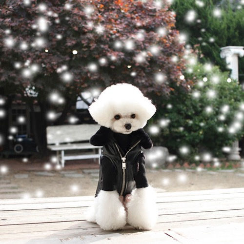 Thumbnail: BLACK BIKER FAUX FUR DOG JACKET