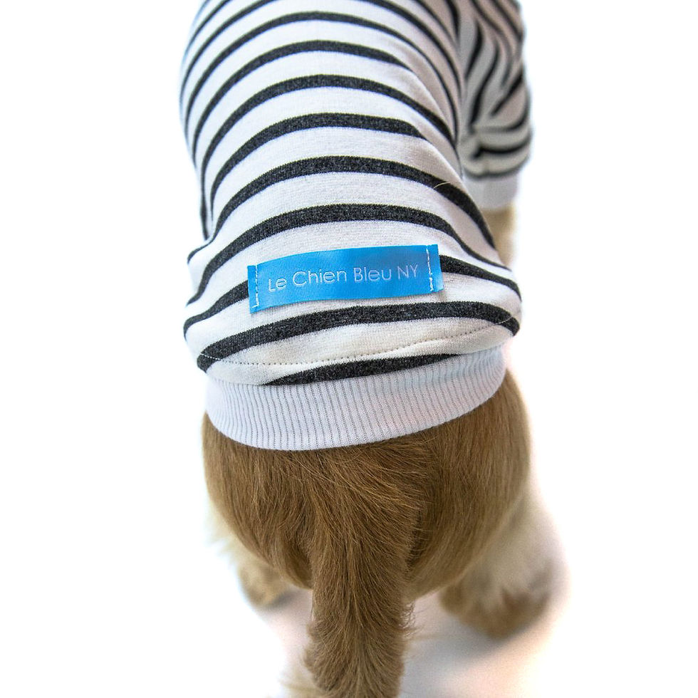 Thumbnail: PARIS DOG SWEATSHIRT