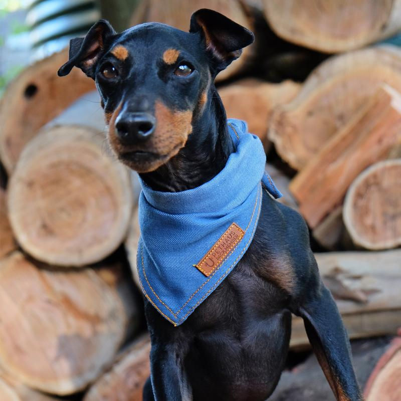 BILLIE JEAN DENIM DOG BANDANA