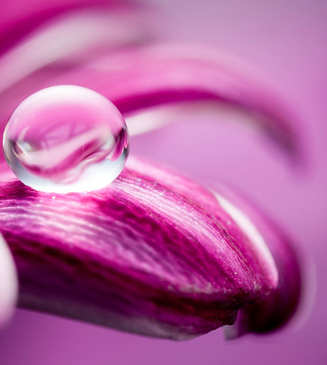 iStock-155016051.jpg