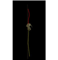 EOS WHOLE BODY 0004_edited.jpg