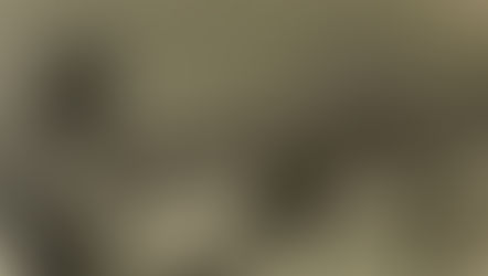 Do not follow the Sheep of the world