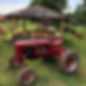 corn pit with tractor.jpg