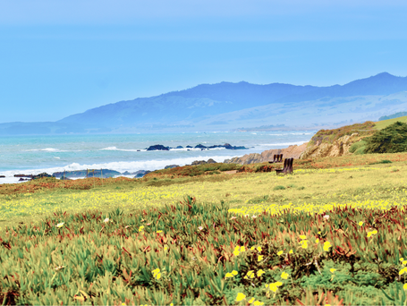 How to Start and Permit Your Airbnb in Cambria