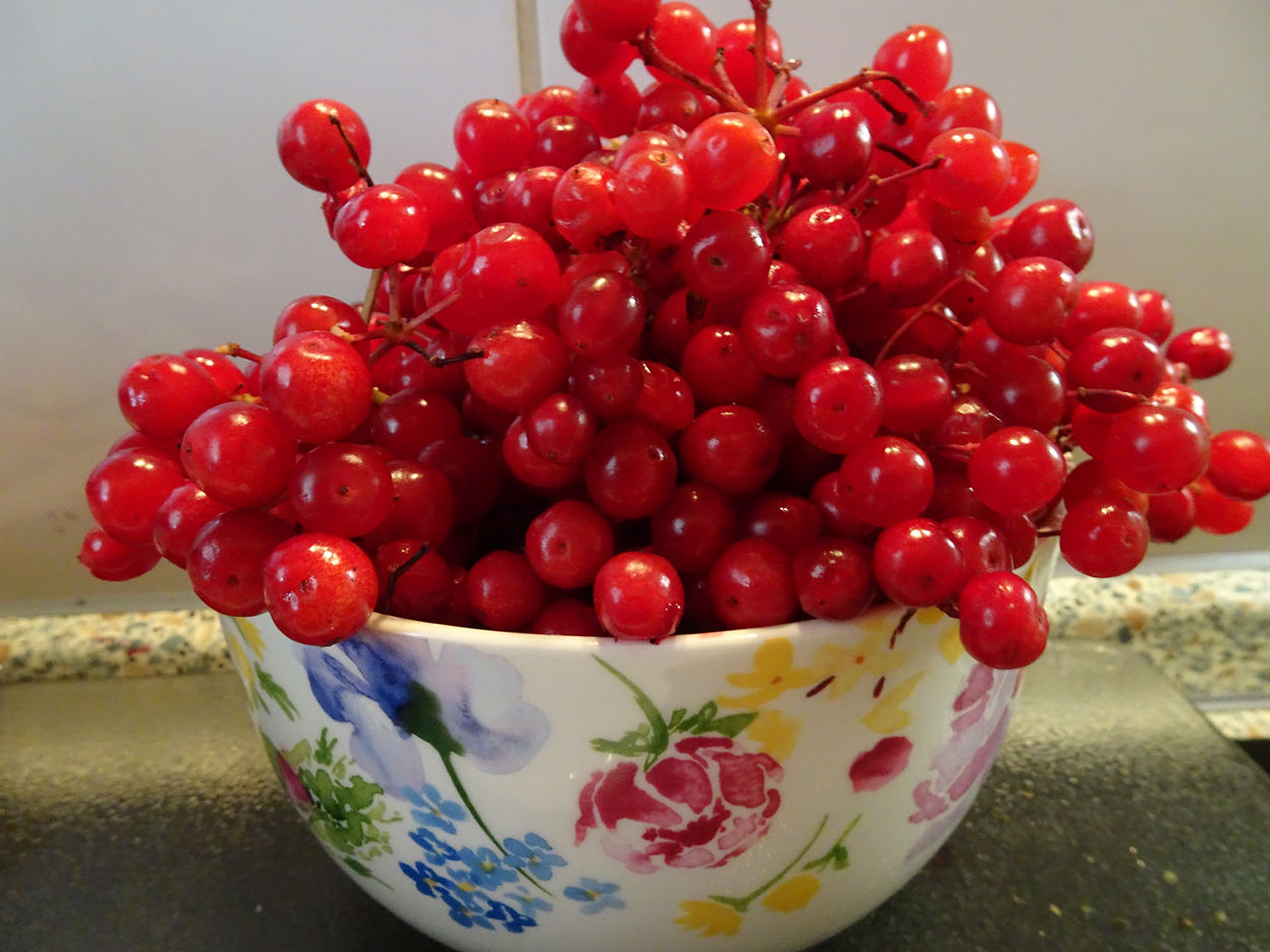 DSC00224.JPG