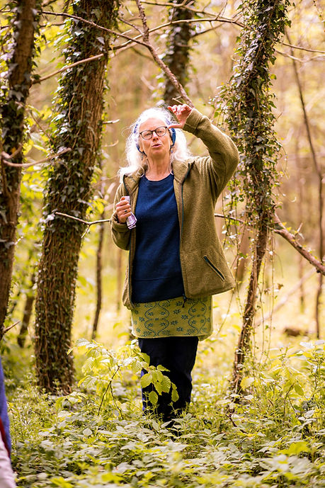 Frühlingskräuter Waldwanderung