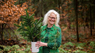 Iris Bein mit Tannengrün