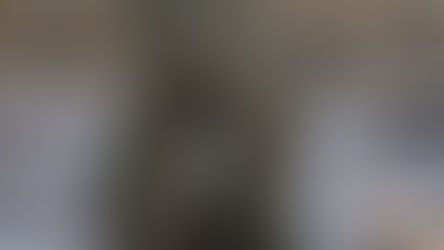 Baum mit Loch vor Sonne im Winter