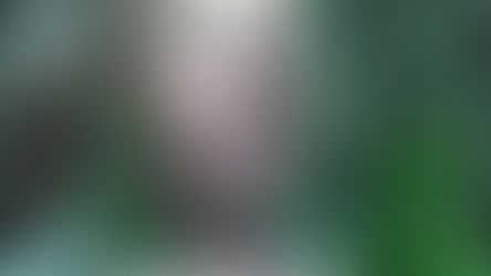 Jubiläum im nächsten Jahr: 20 Jahre Naturveranstaltungen von Iris Bein