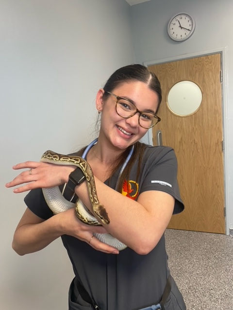 Phoenix Vets Loughborough Patient 9