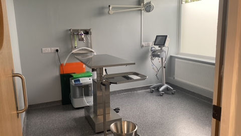Phoenix Vets Loughborough Check Up