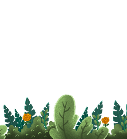 KT_Shrubs.png